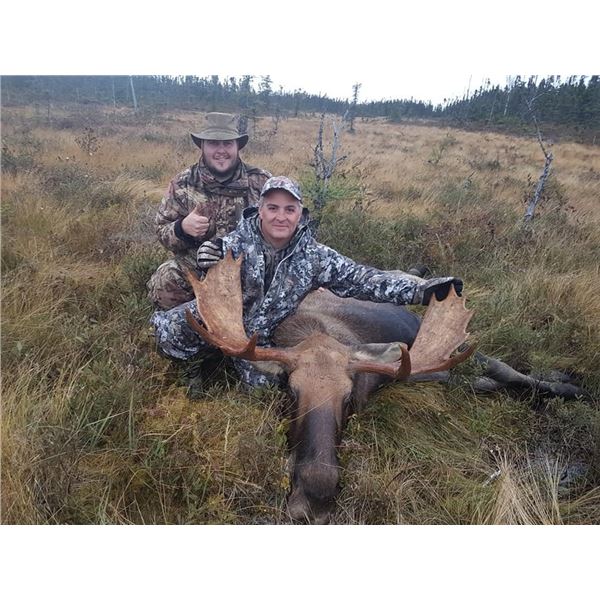 *Newfoundland – 5 Day – Eastern Canada Moose and Black Bear Hunt for One Hunter