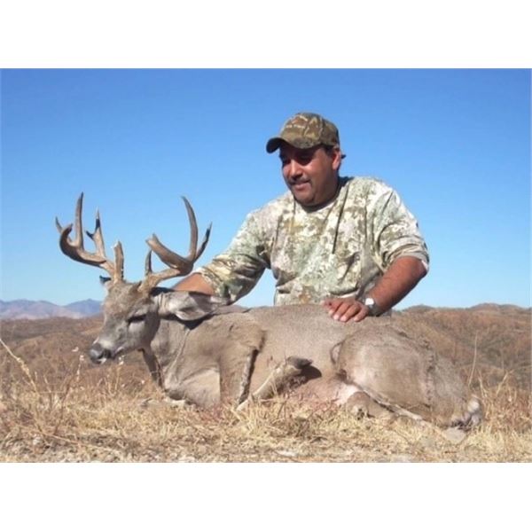 Arizona – 5 Day –Muzzleloader Hunt for Coues Deer and Mt. Lion for Two Hunters