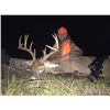 Image 1 : *Missouri – 5 Day – Archery Whitetail Deer Hunt for One Hunter