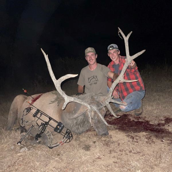 *Oregon – 7 Day –Archery Roosevelt Elk Hunt for One Hunter