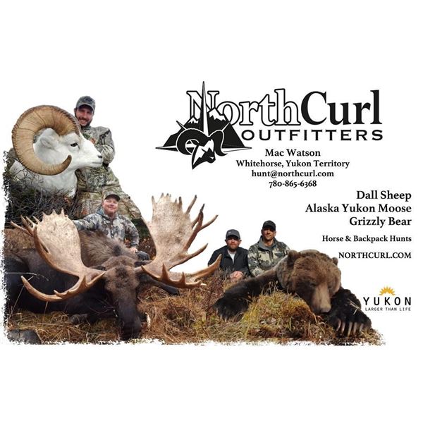 Yukon – 10 Day – Dall Sheep Hunt for One Hunter