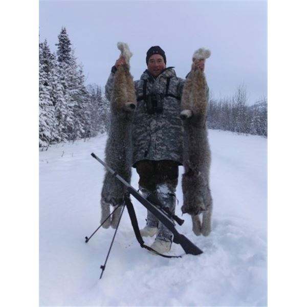 Alaska – 7 Day – Trapline/Wolf and/or Grizzly Hunt for One Hunter