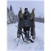 Image 1 : Alaska – 7 Day – Trapline/Wolf and/or Grizzly Hunt for One Hunter