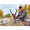 Image 2 : *Wyoming – 3 Day- Antelope Hunt for Two Hunters