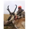 Image 4 : *Wyoming – 3 Day- Antelope Hunt for Two Hunters