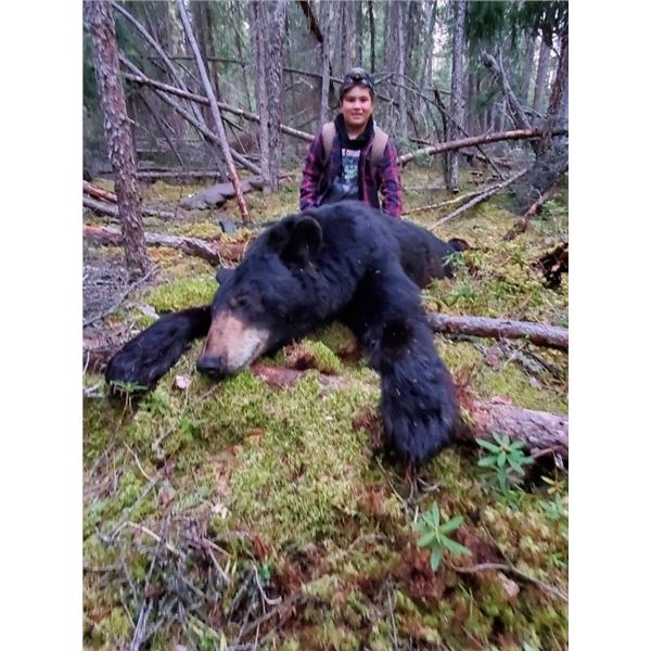 *Alberta – 6 Day – Baited Black Bear and Wolf Hunt for One Hunter
