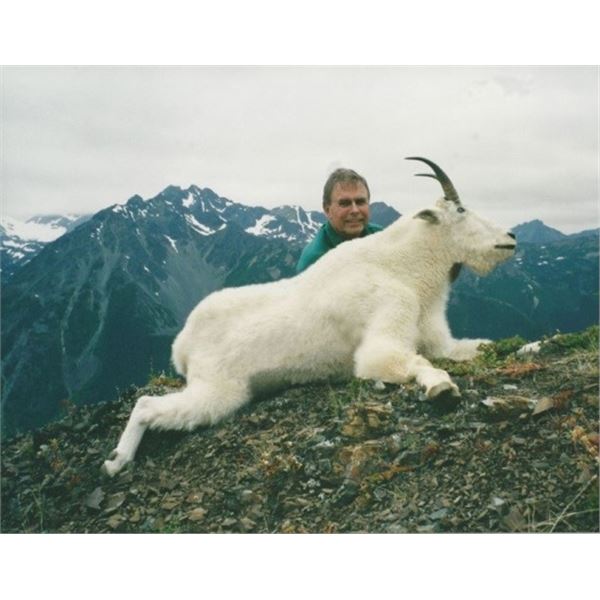 British Columbia – 10 Day- Mountain Goat Hunt One Hunter
