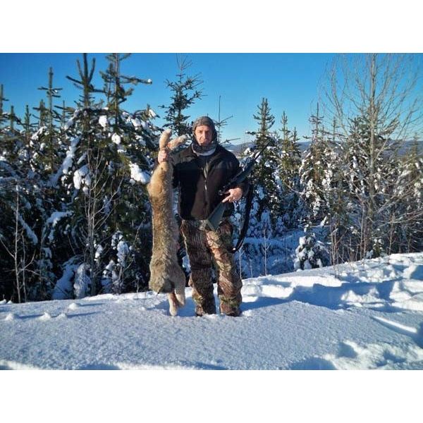 *British Columbia – 5 Day – Canadian Lynx Hunt for One Hunter and One Non-hunter