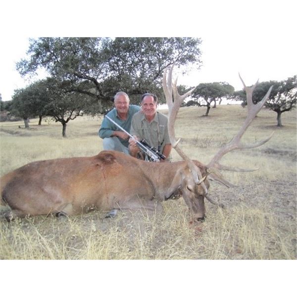 *Spain – 8 Day – Spanish Red Deer and Mouflon Sheep Hunt for One Hunter