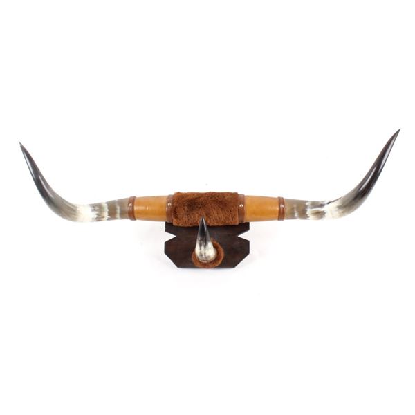 Texas Longhorn Leather Wrapped Wall Mount