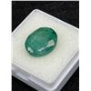 Image 2 : Big Natural Emerald 8.37ct 14.60 x 11.84 x 6.56mm Oval Cut Brazil COO Treatment Minor Oiling