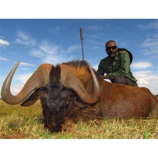 Africa Maximum Safaris