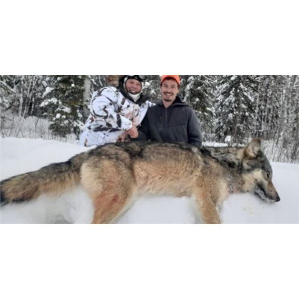 Kapriver Outfitters - Wolf