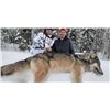 Image 1 : Kapriver Outfitters - Wolf