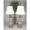 Pair of Chinese Export Porcelain Lamps #2137855