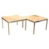 Image 1 : Pair of End Tables in the Style of Florence #2186539
