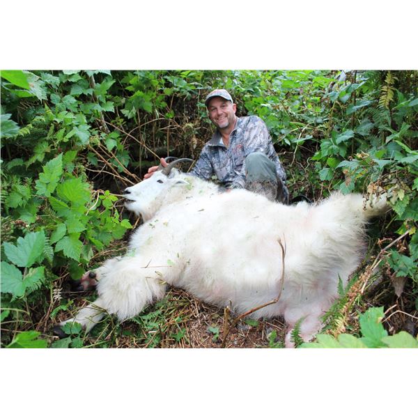 Alaska Mountain Goat Hunt