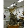 Image 2 : Shoulder Mount of a Deer Sized Animal by Stranix Taxidermy