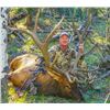 Image 1 : Colorado Bull Elk Hunt  KB Outdoors