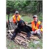 Image 1 : Ontario Black Bear hunt for 2 Hunters