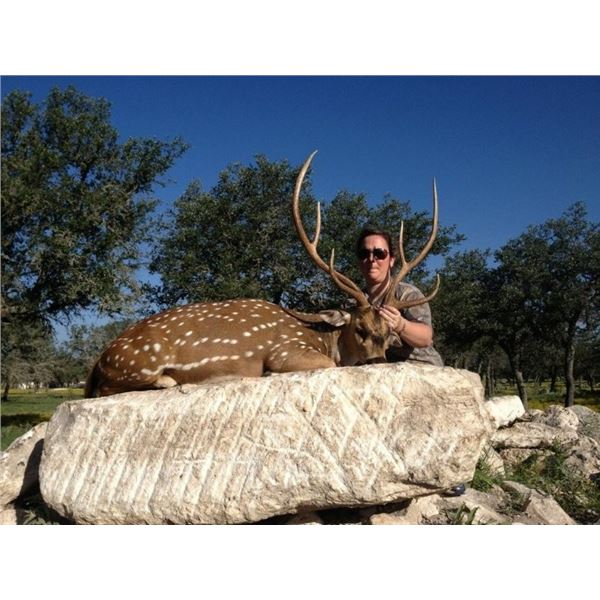 Texas - All Inclusive Axis Deer Hunt