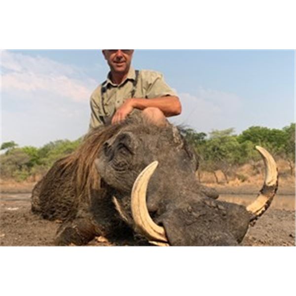 Mozambique - Mokore Safaris – Plains Game