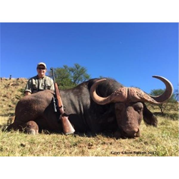 South Africa - Hunterhill Cape Buffalo Hunt