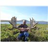 Image 1 : New Foundland - Effords Hunting Adventures Moose Hunt