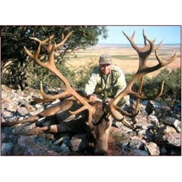 Iberian Red Stag Hunt in Spain for One Hunter with Giuseppe Carrizosa