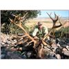 Image 1 : Iberian Red Stag Hunt in Spain for One Hunter with Giuseppe Carrizosa