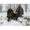 Image 2 : Wild Boar Hunt in Serbia for Two Hunters with European Hunting Adventures