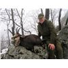 Image 2 : Serbian Chamois Hunt for Two Hunters with Safari-EHA