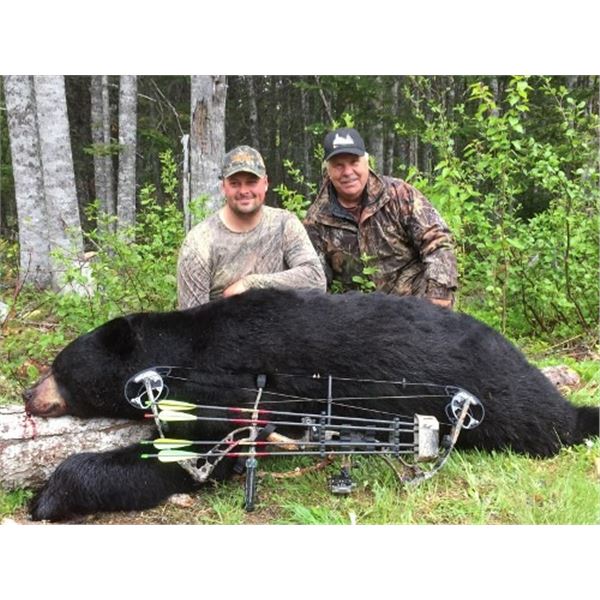 Newfoundland Black Bear Hunt and Coastal Glacier Tour