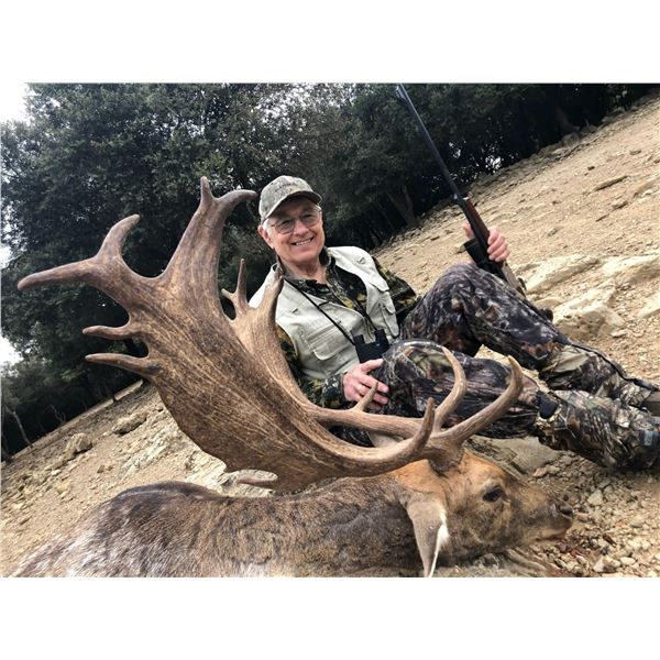 Customized Spanish Hunt for Mouflon OR Fallow Deer OR Roe Deer for One Hunter with Fernando Diaz