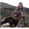 Image 2 : Customized Spanish Hunt for Mouflon OR Fallow Deer OR Roe Deer for One Hunter with Fernando Diaz