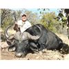 Image 1 : Cape Buffalo and Roan Hunt in South Africa for One Hunter with Game Trackers Africa-Ondjamba Safaris