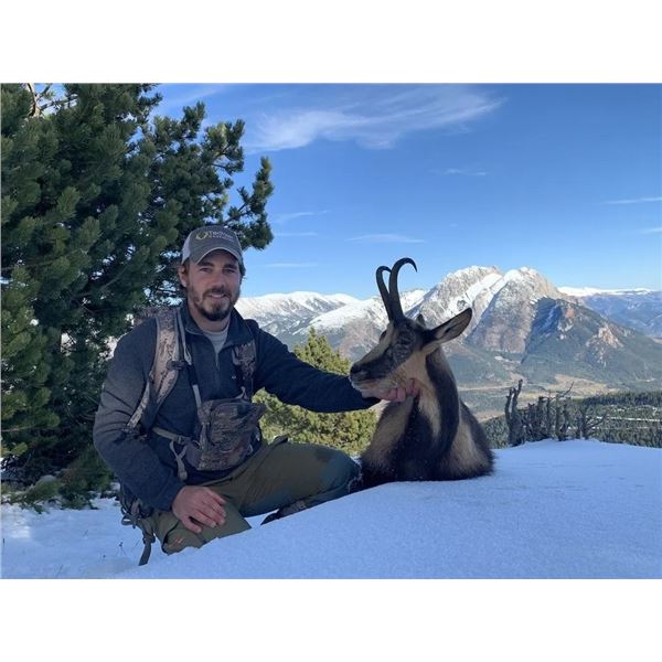 Pyrenean Chamois Hunt for One Hunter with Wild Hunting Spain