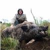 Image 2 : Big Game Hunt in Argentina for Three Hunters with CSA Outfitters