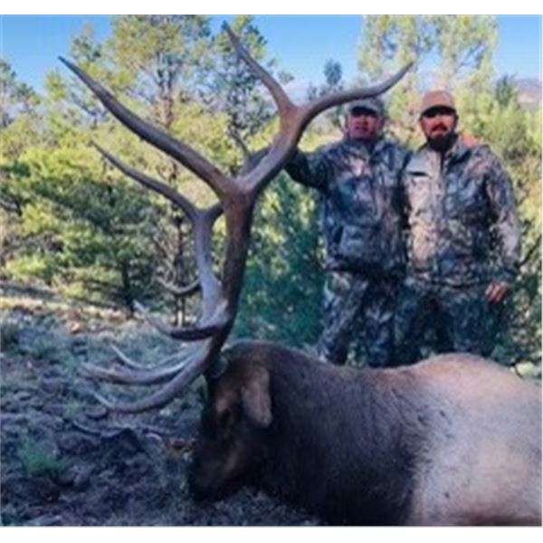 New Mexico Trophy Elk hunt w/ Landowner Tag