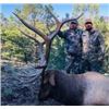 Image 1 : New Mexico Trophy Elk hunt w/ Landowner Tag