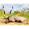 Image 1 : Kudu, Impala, and Warthog hunt in South Africa for two hunters