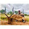 Image 2 : Kudu, Impala, and Warthog hunt in South Africa for two hunters