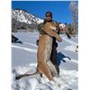 Image 1 : Colorado Mountain Lion Hunt Silver Spur Outfitters