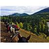 Image 2 : Spectacular Canadian Rockies on Horseback - Bighorn Sheep Scouting & Viewing