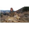 Image 1 : Southern Arizona Coues Deer hunt for 2 Hunters Wards Outfitters