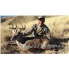 Image 2 : Southern Arizona Coues Deer hunt for 2 Hunters Wards Outfitters