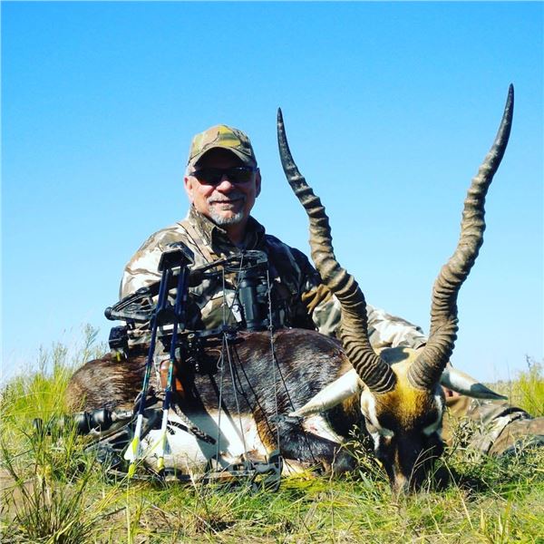 Argentina Hunt for 3 Hunters - Black Buck, Wild Boar, Dorset Ram w/Golden Dorado Option Catena