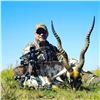 Image 1 : Argentina Hunt for 3 Hunters - Black Buck, Wild Boar, Dorset Ram w/Golden Dorado Option Catena