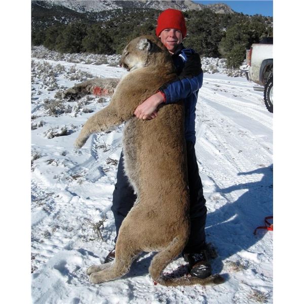 Mountain Lion Hunt in Nevada Bull Ridge Guide Service