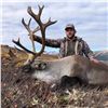 Image 2 : Mountain Caribou Hunt in Northwestern British Columbia Golden Bear Outfitting
